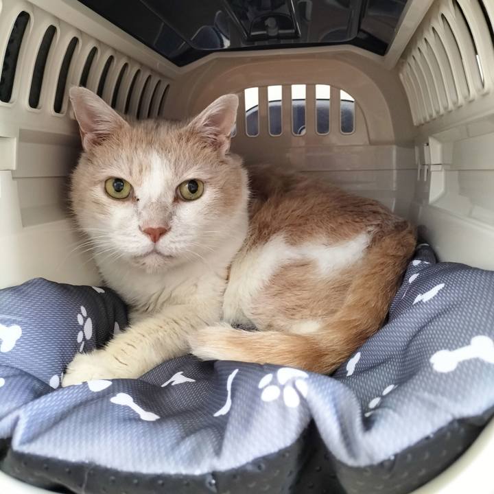 4e3660f4 afb1 42c1 9dd5 7a66c76d782e 1691639707036