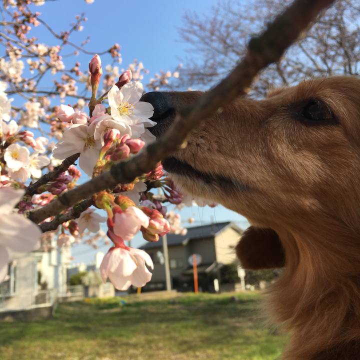 4e3688da 77af 4150 9166 1b923b35c4b6 1522059141731