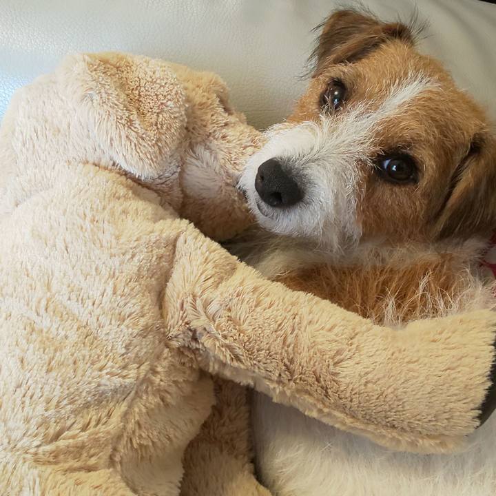 4e36f6a7 aca1 403f bdc4 1abd9470c6c4 1570147615875