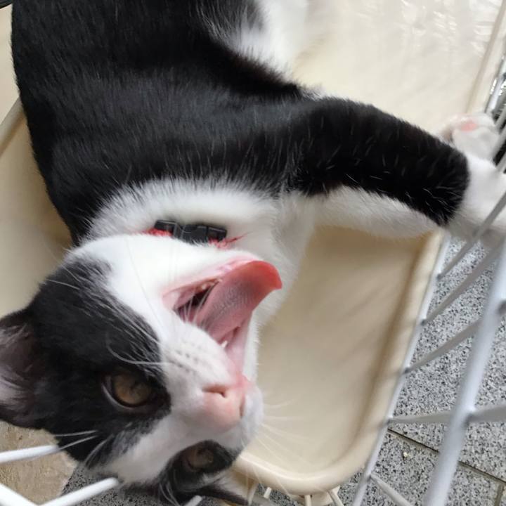 4e37394a 3a98 497f 877b a18f7c7b0fdc 1628397891728