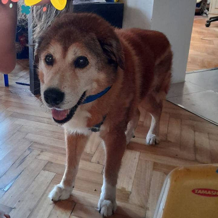 4e374a2a 4ced 433a aa24 238518a4ee54 1767218938097