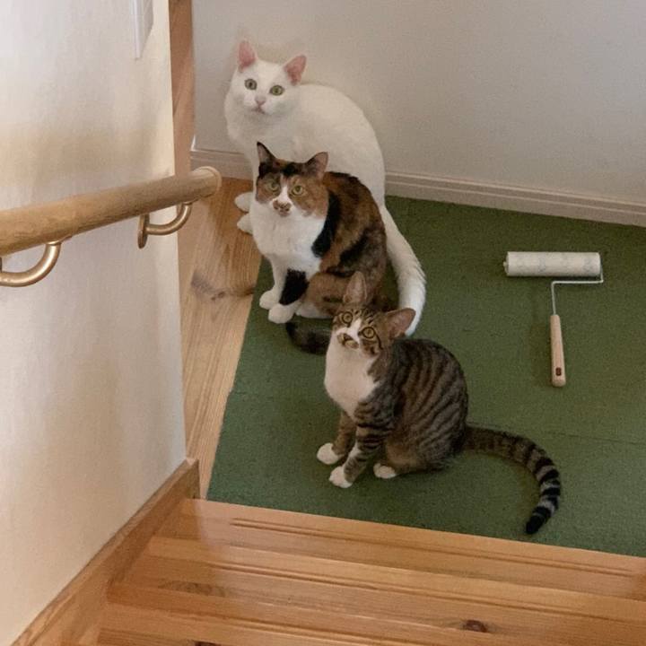 4e374be4 7963 41c6 aaab 19371c5f46f6 1602241754192