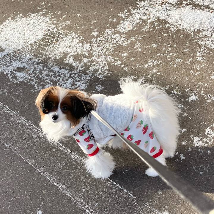 4e3771d4 e0b6 4f3e 9b24 fcf268a47256 1734139997366