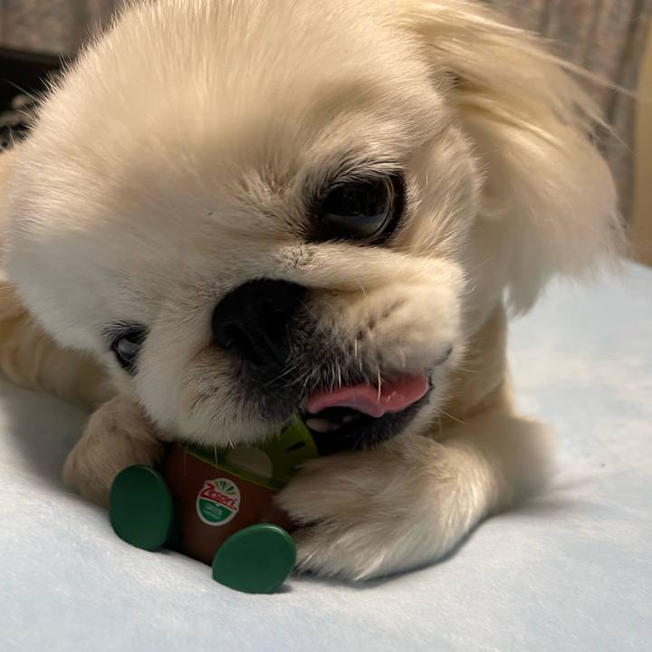 4e377f05 265f 41a0 a6ea 00304cefd392 1698416306276