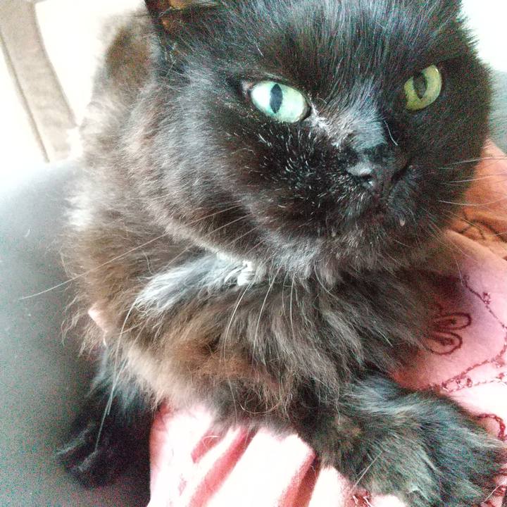 4e37b72b 7f13 4623 b5a6 220b25e71249 1623914359929