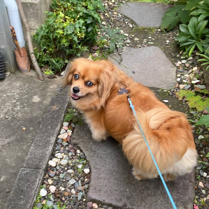 4e37c677 6d7d 46bd add9 38a8d7a560a3 1595280817758