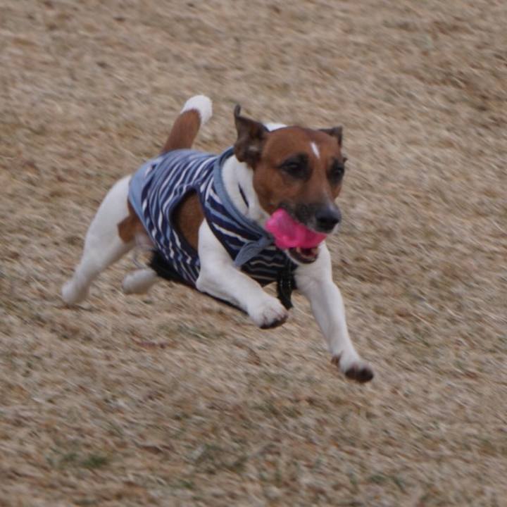 4e37efcb d4a5 4b31 b458 ea1b87d95907 1520291312396