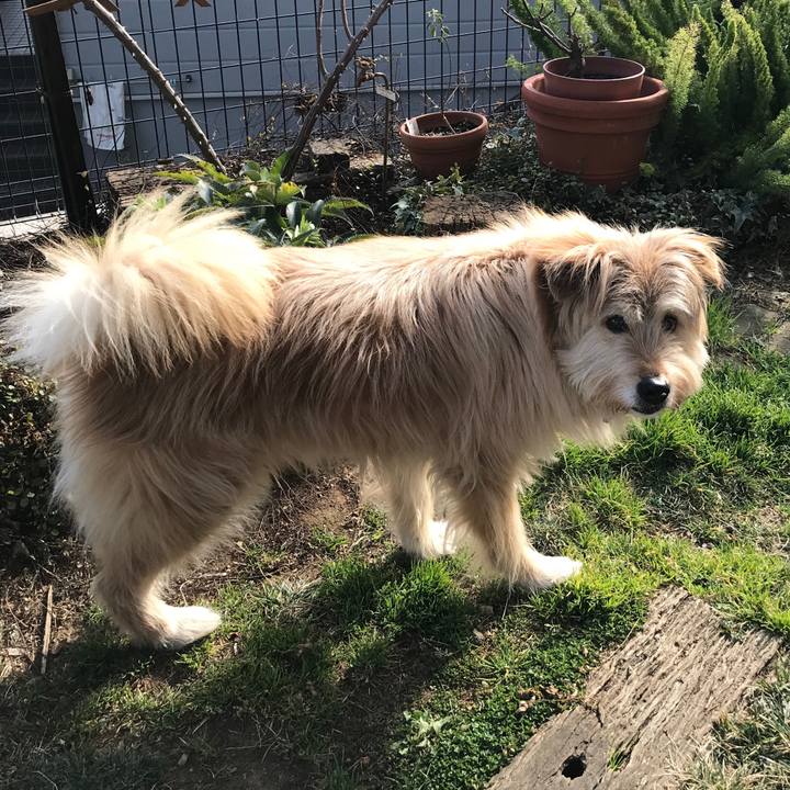 4e3878d7 36d7 4933 b581 14177661ba9d 1550727941697