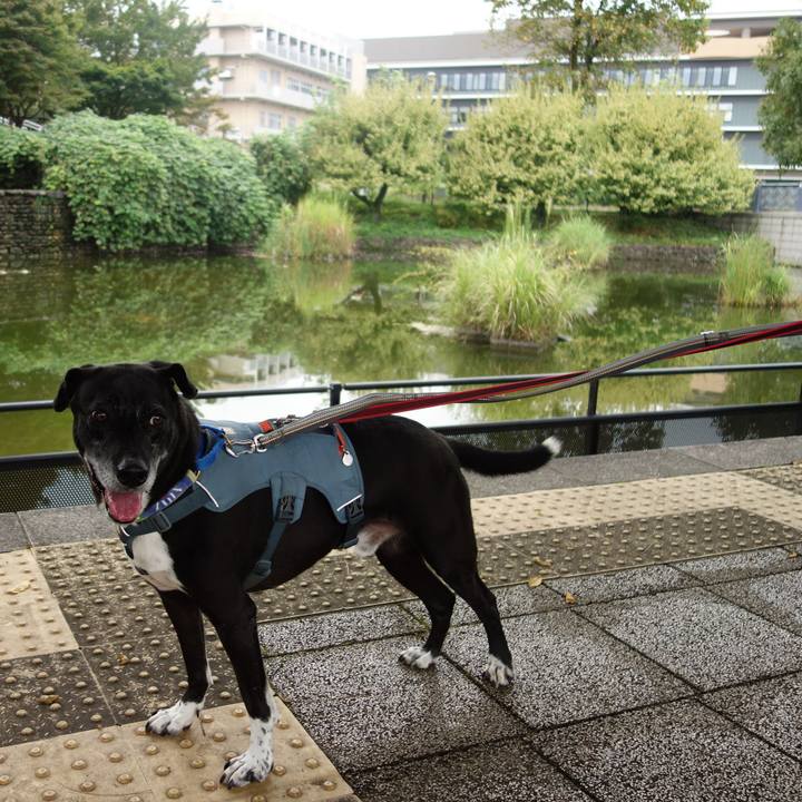 4e389705 c579 421b baa2 dcc5ef82fc0e 1726533974364