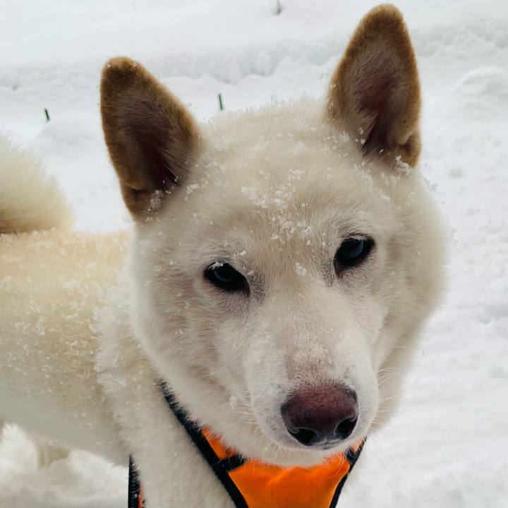 4e38a193 a809 4778 875f 096b94a41c39 1639700370772