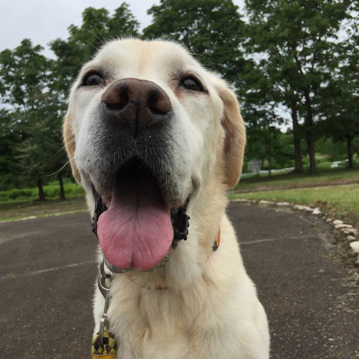 4e38a73f 1b1d 40bb 972c c5d49f24bc17 1527040103642