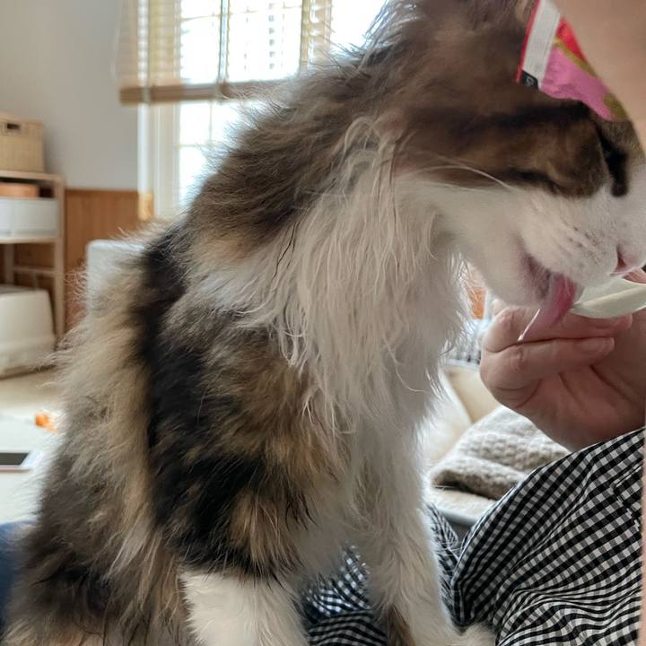 4e38d2fe f086 4eac 9599 ee091765707f 1636868635228