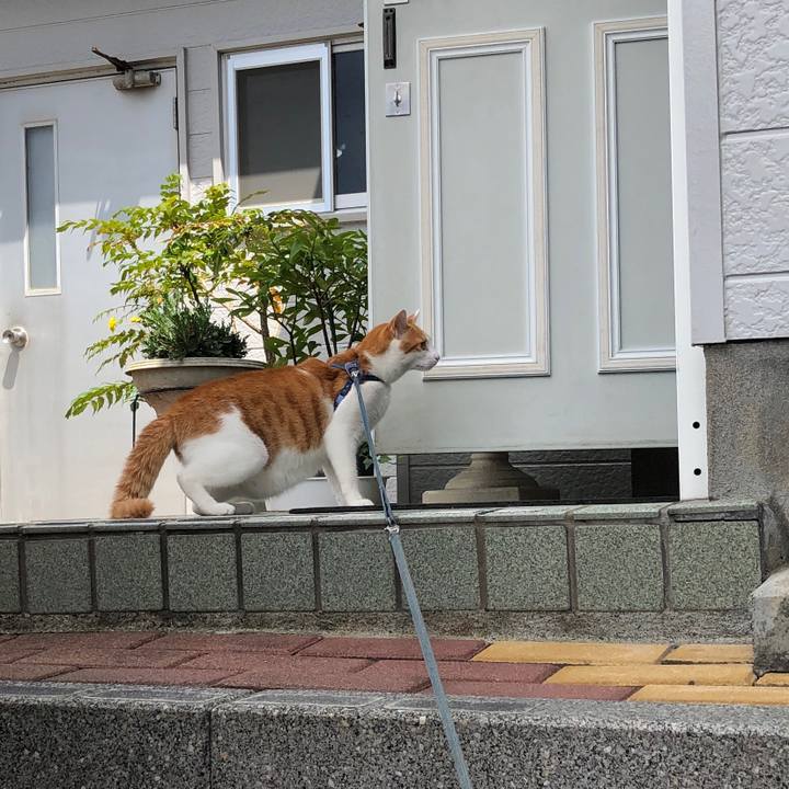 4e38e2c5 1b06 42c1 bc95 fb546926e79b 1563013344794