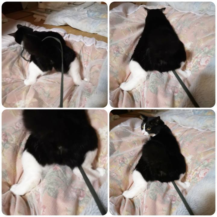 4e38e691 09ec 4ab9 a3fe e32300ebaec7 1570111921694