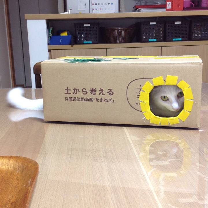 4e3916cd 1c13 4e01 b3f4 60af2b4172c8 1628829446490