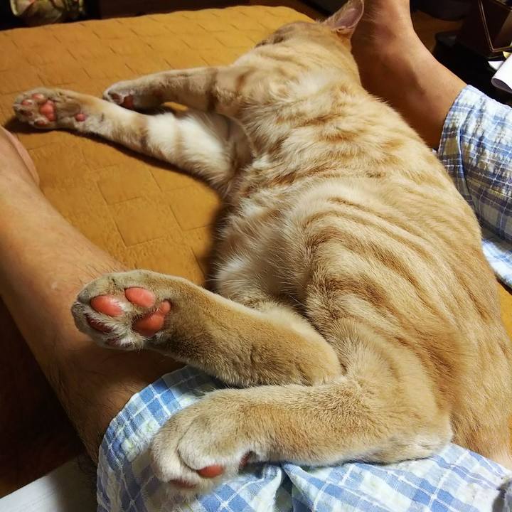 4e394d43 c631 4f92 bf19 31fb9d27fb38 1562505488799