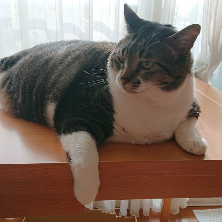 4e395ef4 9dec 40a0 a72a 2acbaf05e1d8 1540516952119