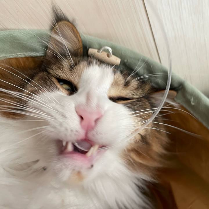 4e39632a 3a53 4b7f ae3b 9b7534b62928 1679867921054