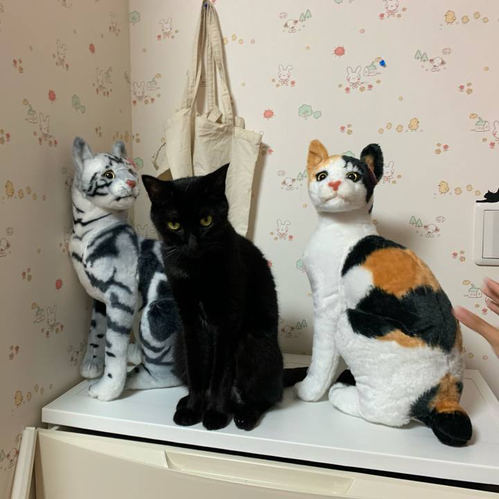 4e396aa3 ce20 4dd7 9788 8236f6d57744 1595077218915