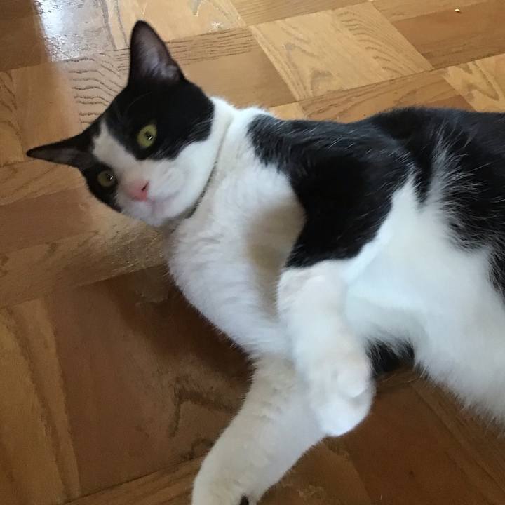 4e396c6f a534 4b9a 99ff 007f8ad7d4fe 1658556969642