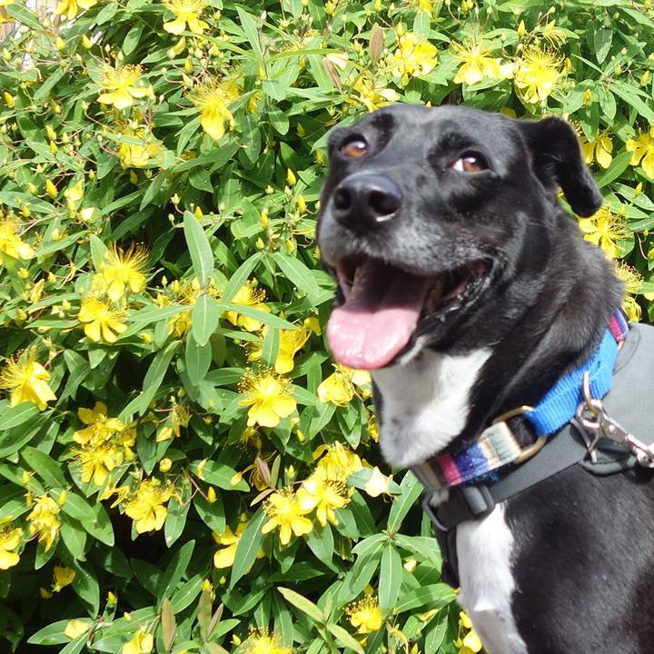 4e39a1b9 be49 468d adc0 4be0f641a897 1654564219306