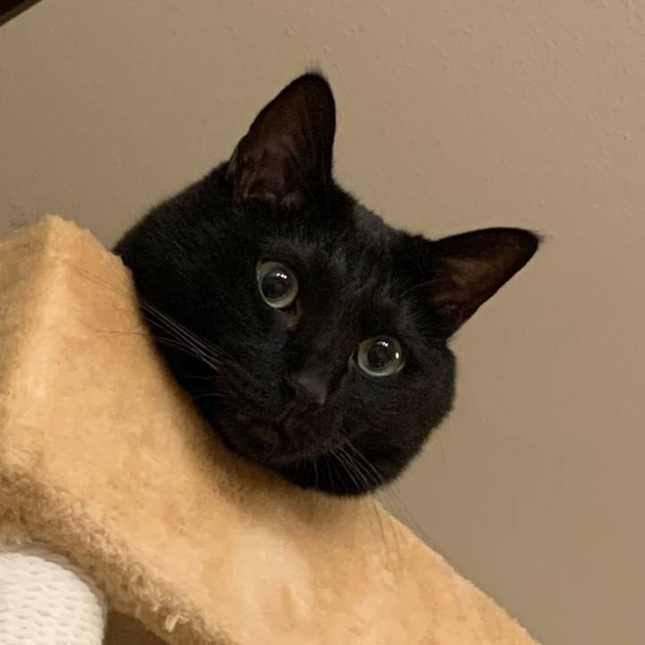 4e39b253 9ad8 46be adcf f73421c961a2 1725808130376