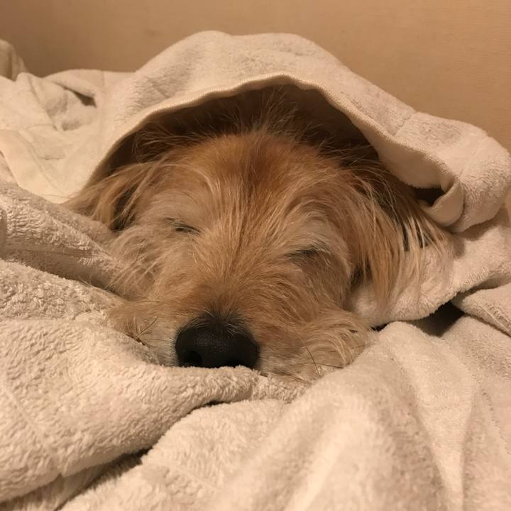 4e39e267 e202 44c0 b7e1 d21ac92e3bfe 1609342971782