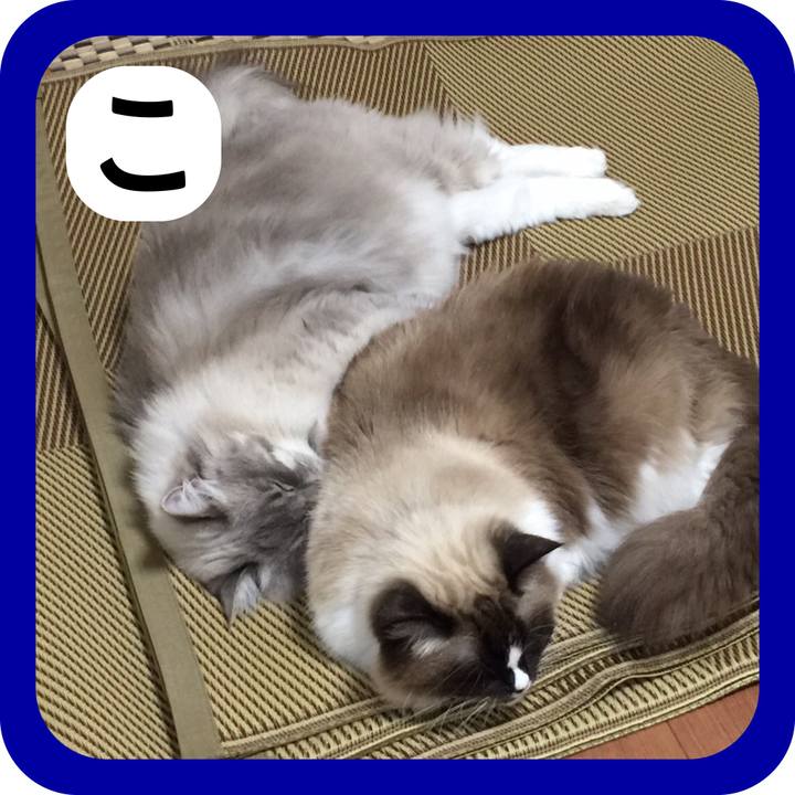 4e39eeb3 4370 4da9 b73b 1720579a8b9b 1514813832134