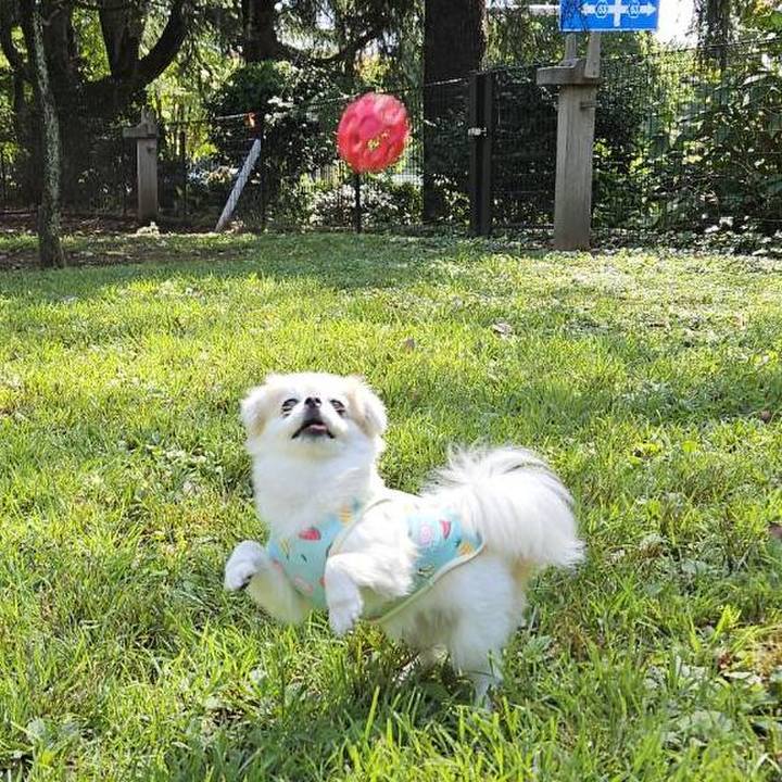 4e39f1d7 37cd 4186 aef8 720fc535c39c 1758635240870