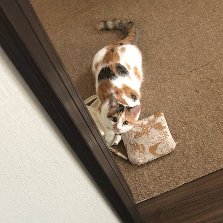 4e3a2eb3 5461 487e b79f 18a10c3f4b9a 1569973752275