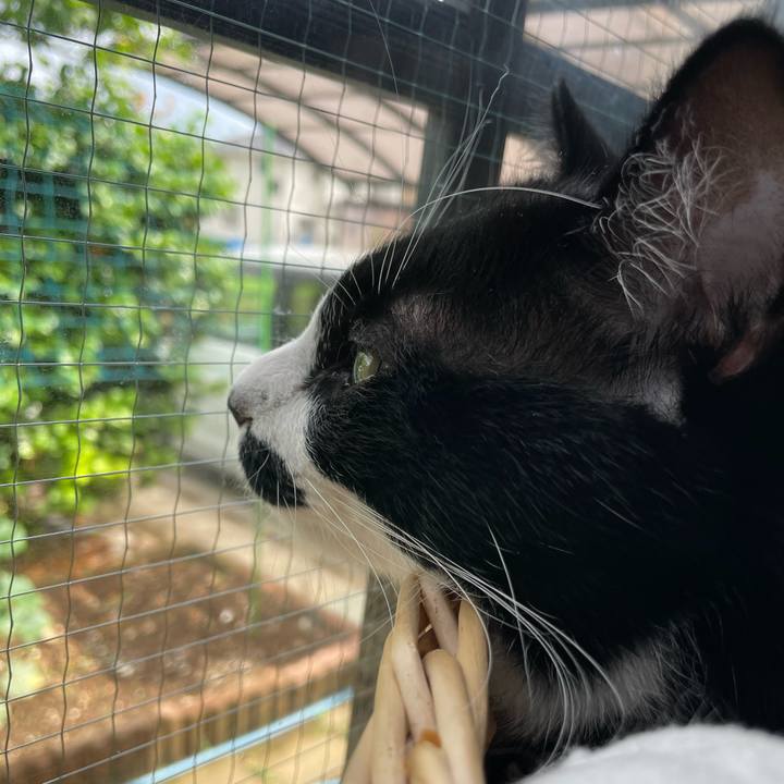 4e3a37ae 87b5 4314 8863 1530f2da5513 1653979731256