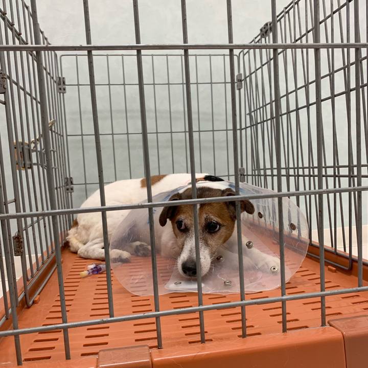 4e3a4ce9 31c7 4154 bb40 f9710ac8ebc2 1563622381932