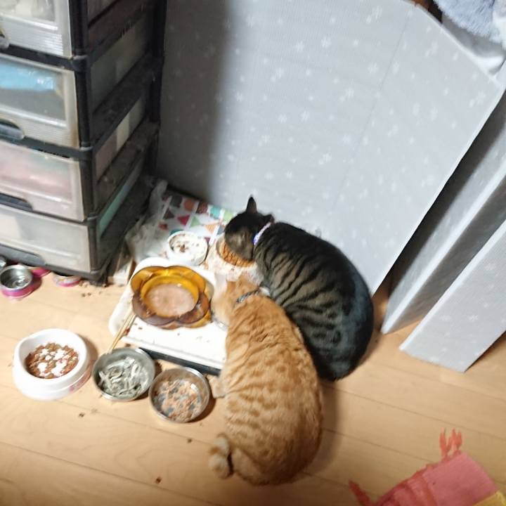 4e3a614d 7972 42bd af30 56728f6c9ebf 1640467904225