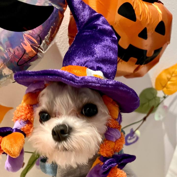 4e3a655f 16ea 4933 b12e 457e5dac7ba7 1665471733007