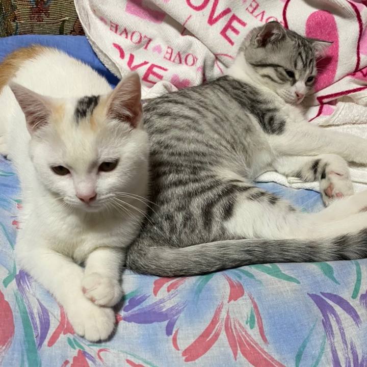 4e3a6ec9 9160 42e4 8fcb d9ed93622d81 1595369273054