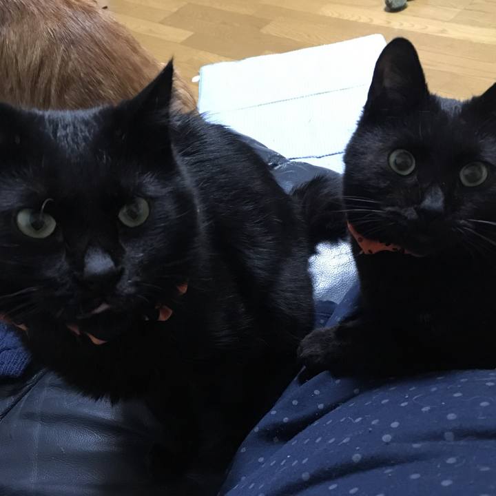 4e3a81e5 0c6d 4411 8bf8 e0f64e80979e 1540466862736