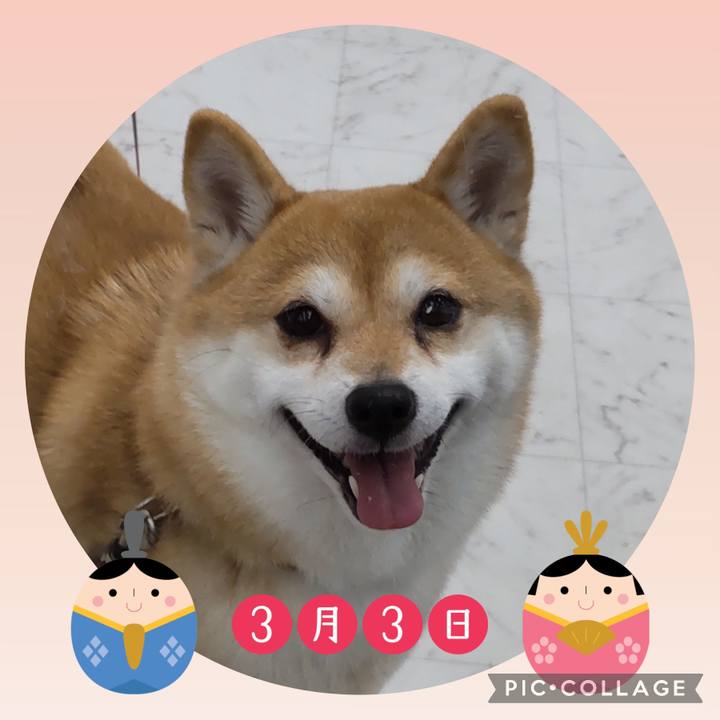 4e3ad03f 1280 4353 b7f4 86fb4cb59692 1772497989874