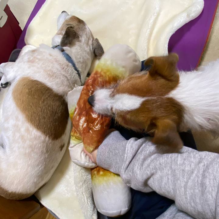 4e3ad553 cac2 40ba adde 4232b951f28e 1640089182057