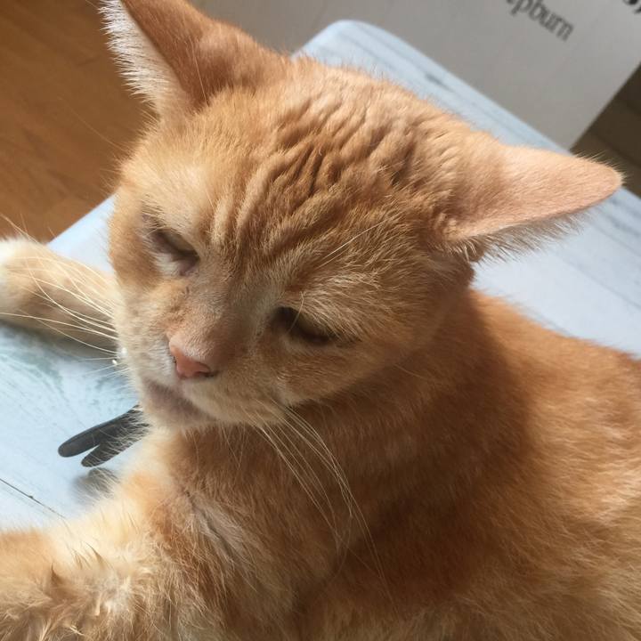 4e3ae751 45be 4e99 af95 291360ac0174 1567916411731