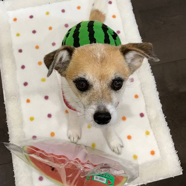 4e3af190 813e 42f4 a649 02110bb27fe5 1596006918280