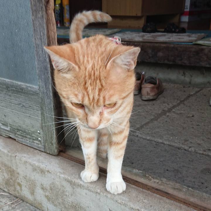 4e3b1942 9593 4d61 b96b 1ffee919e890 1562618437583