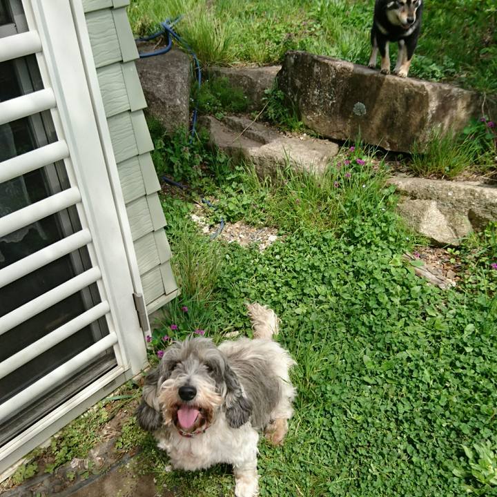 4e3b29ac 8470 4e70 9a3c f6b5916d0199 1556866853659