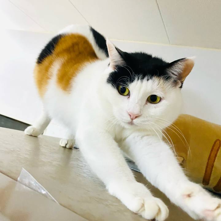 4e3b29e0 3bac 4ea9 8d54 39ff0e92118d 1702803743331