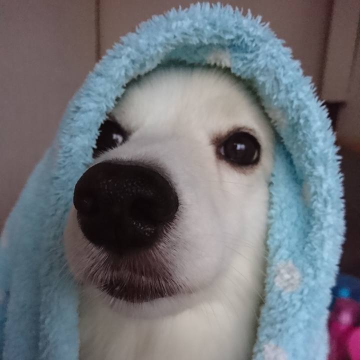 4e3b8a10 a1a7 4d42 b13b 17564db74bd5 1537564887437