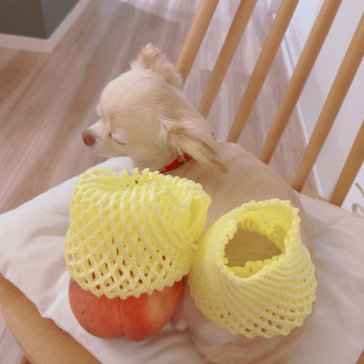 4e3b8d5a 0a34 4177 90e8 838d5667c1d8 1757297942294