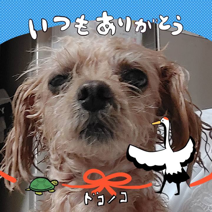 4e3b9db8 603b 4d18 bcb6 5966eb241294 1727147351545