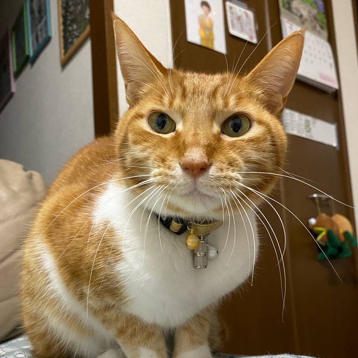 4e3bb3ec 1479 4883 b708 dfd4d314ca0e 1713610609157