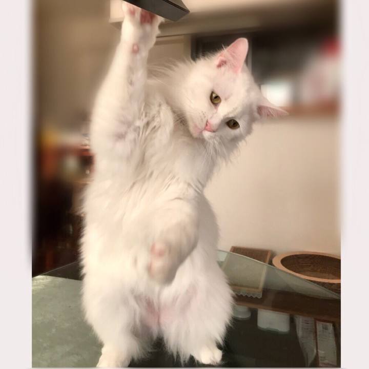 4e3bc3e9 3237 44e7 841a 05d05ed31348 1565617733698