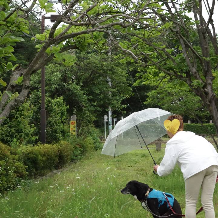 4e3bcbc1 8a60 423f a0f5 666d4ee38460 1748647673600