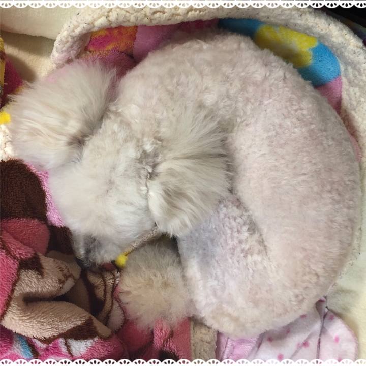 4e3be735 973e 4836 96a0 5c5d8965ba61 1524700548561